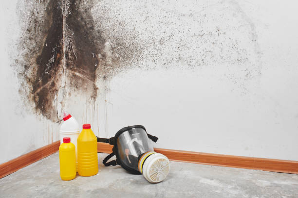 Crawl Space Mold Removal in Rock Hill, MO