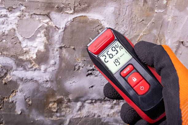 Best Mold Remediation Experts  in Rock Hill, MO