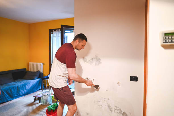 Best Crawl Space Mold Removal  in Rock Hill, MO